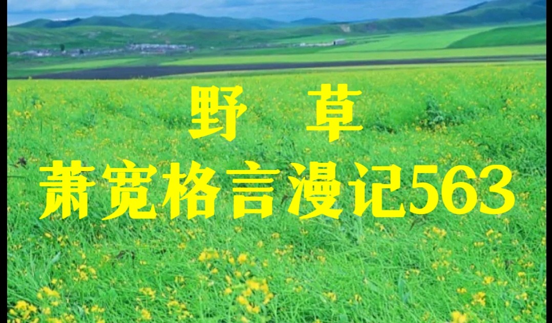 艺术家萧宽格言漫记(541——563)【雅诗总会】（图6）
