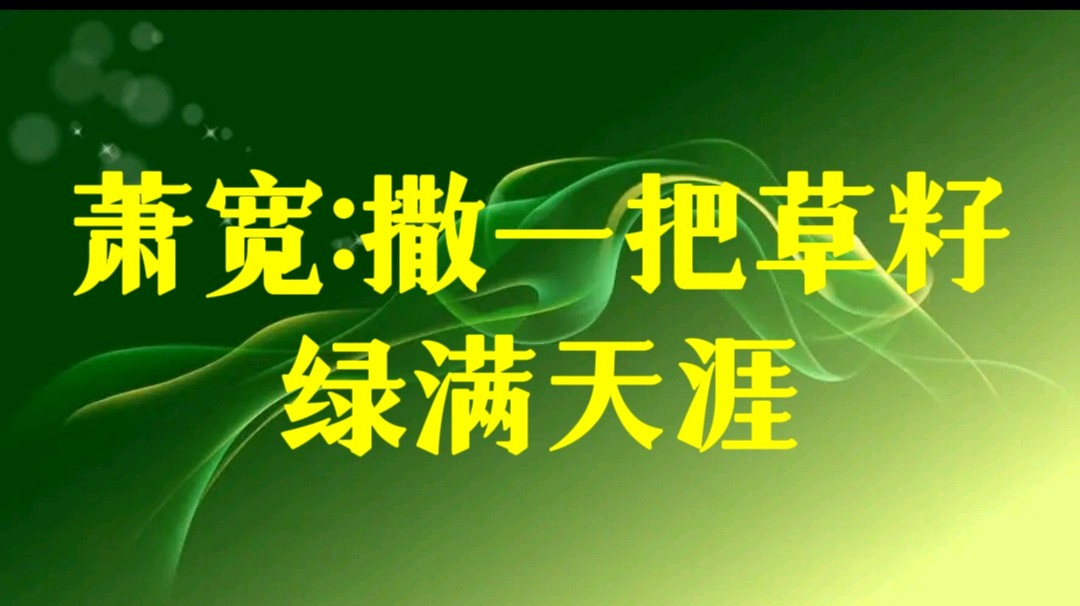 萧宽撒一把草籽绿满天涯【雅诗总会】(图2)