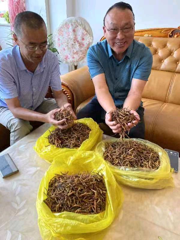 【七律•雪域华囯堂江城十年】作者/(湖北)优秀作家诗人崔怀强老师请您欣赏(图9)