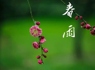 【春天的雨水】外一首／作者／优秀诗人龙心红老师请欣赏（图4）
