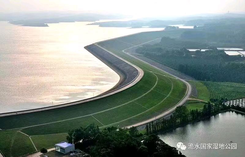 【春韵】作者／胡清普老师请欣赏（图5）
