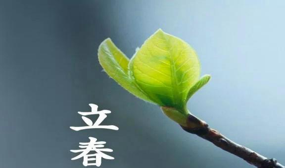 【今日立春】作者／优秀作家诗人方亮老师请欣赏（图5）