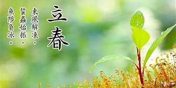 春天的歌唱/李景和（图2）