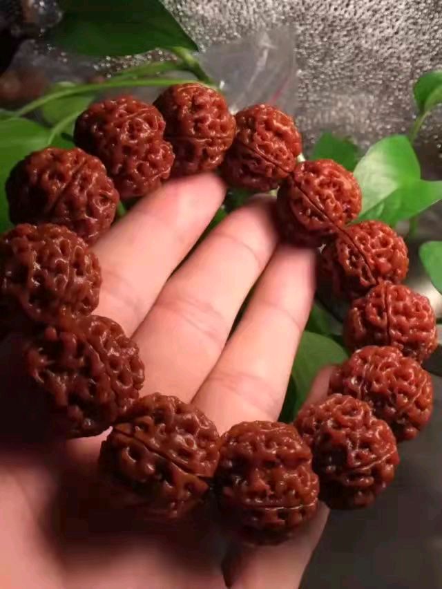 青浦的 太武山/梧闽（图9）