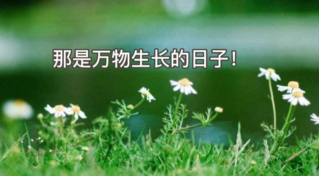 第八期《春天的诗行》作者 汤敏**喜相逢唱诵团总创//喜羊羊（第六组）（图7）