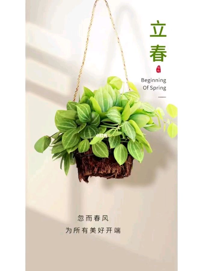 【国风湖南第31期】双春之喜(图2)