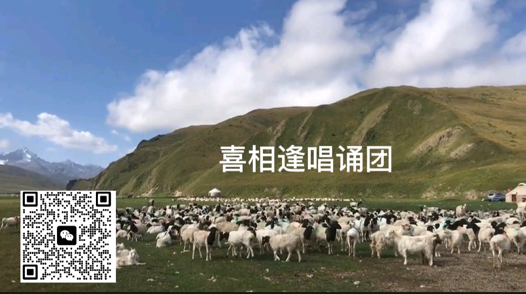 第八期《藏羚羊的跪拜》作者 王宗仁/喜相逢唱诵团总创喜羊羊（第四组）（图2）