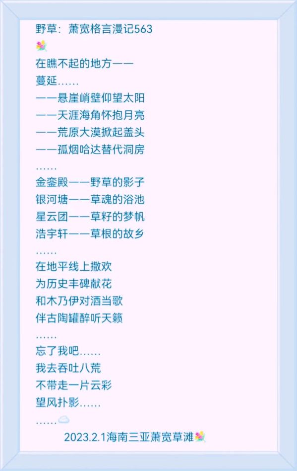 魅力海南：萧宽格言漫记564🌊【雅诗总会】（图13）