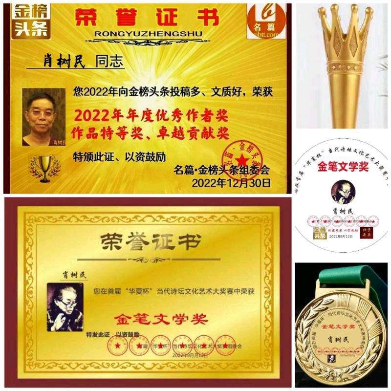 【年…】作者／书法家 诗人鲁者老师请欣赏（图10）