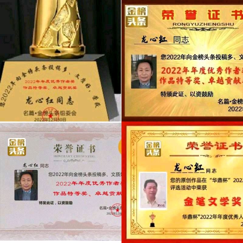 【配龙回钰录相诗】外两首／作者／龙心红老师请欣赏（图9）