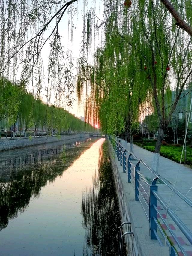 孟宪法《寻花问柳》||诵读：小黎（图7）