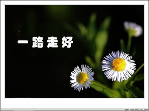 【沉痛哀悼岳母汪老太君】作者/刘正富请关注(图5)