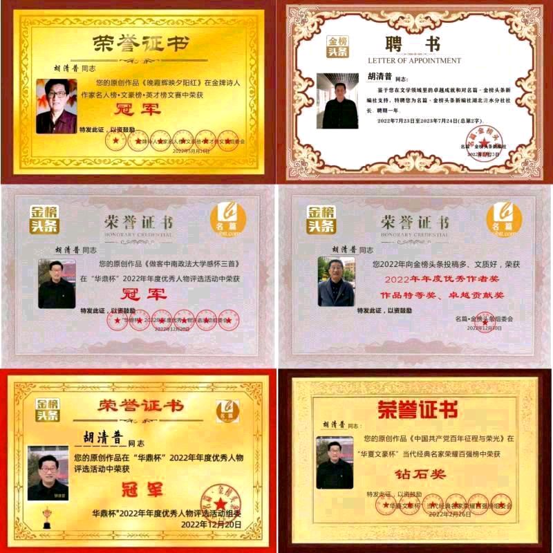 【春访乡村】作者/胡清普老师请欣赏(图12)