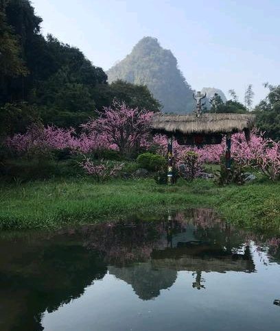 七律：春夜寄怀/王青霞（图7）