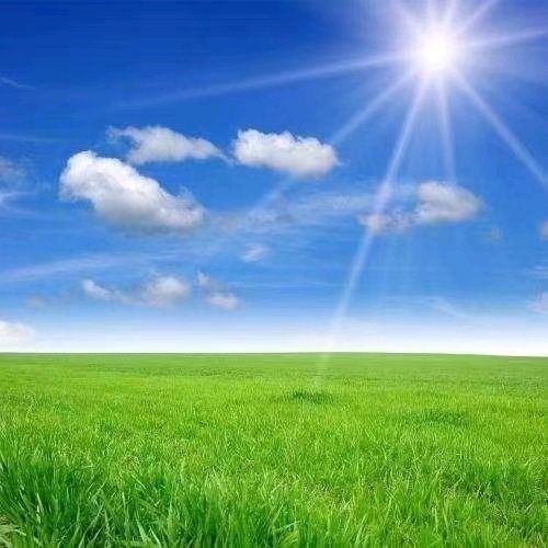 春，我在塞上翘盼姗姗来迟的你肖朋/（图4）