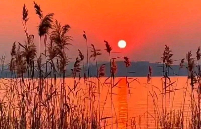【五绝•古春】外四首／作者（四川）优秀诗人王三禹老请欣赏（图5）