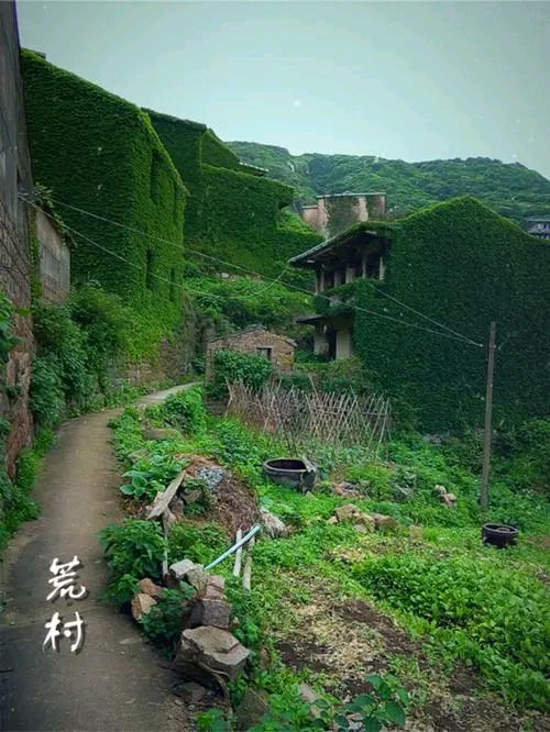 《七律 山村早春》作者：吴云钦（图3）