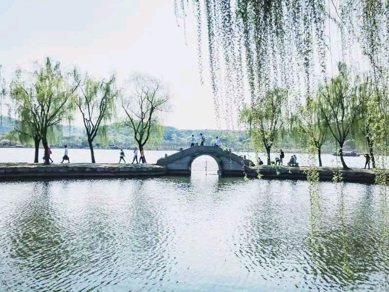 《七律 春景》作者：开心(内蒙赤峰)（图4）