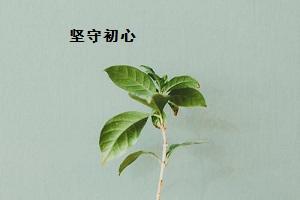 分享(厚甫)沈沛忠组诗请欣赏(图5)