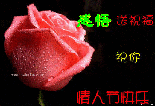 【情人节感悟】作者／黑龙江 诗人笑谈人生老师请欣赏（图4）
