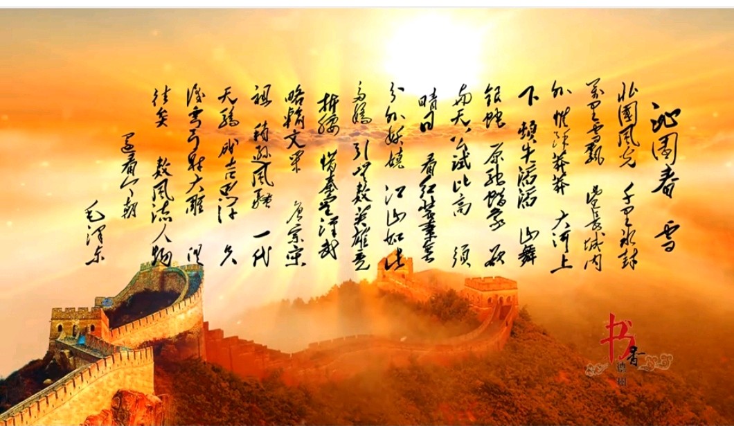 艺术家萧宽泼墨挥毫即兴诵读毛泽东诗词《沁园春·雪》【雅诗总会】(图2)