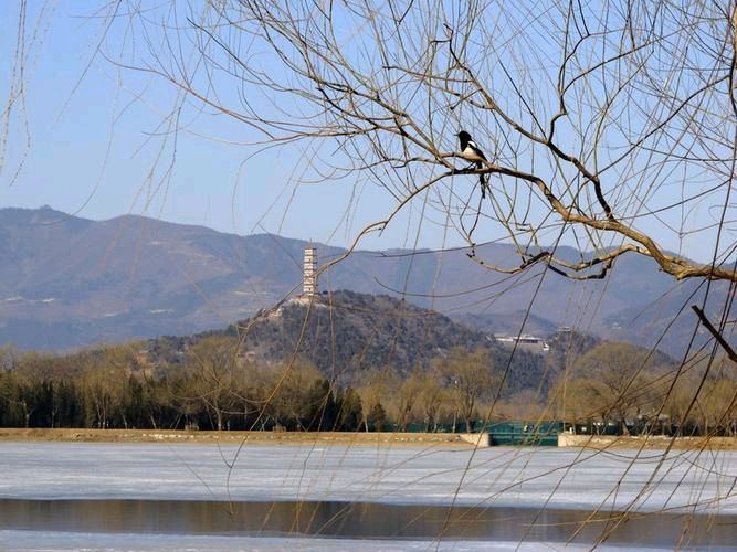 【潇湘文学社】潇湘陶菊诗社《总549期》(初春)(图5)