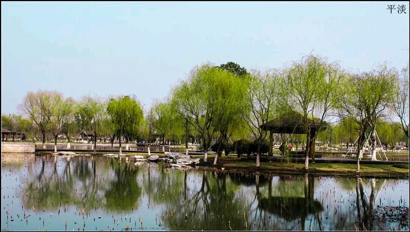 【潇湘文学社】潇湘陶菊诗社《总549期》(初春)(图17)