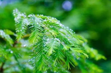 【七律•雨水】诗吟二十四节气／作者／（江苏盐城）李章海老师请欣赏（图5）