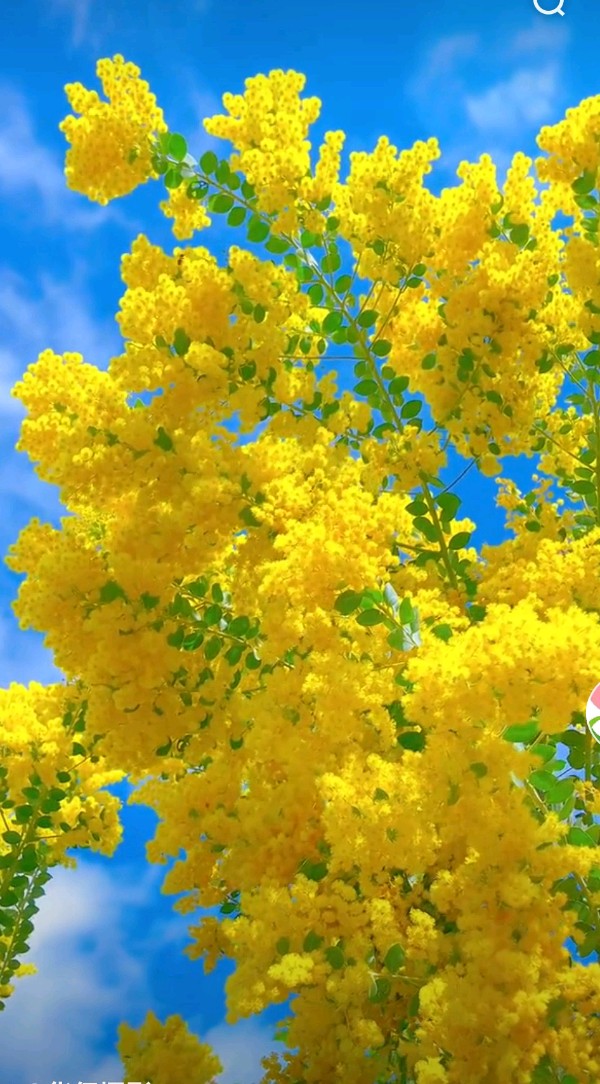 【七律•雨水】诗吟二十四节气／作者／（江苏盐城）李章海老师请欣赏（图10）