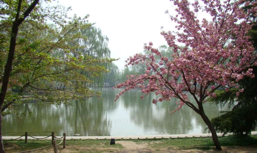 春日绝句八首/李亚华（图4）
