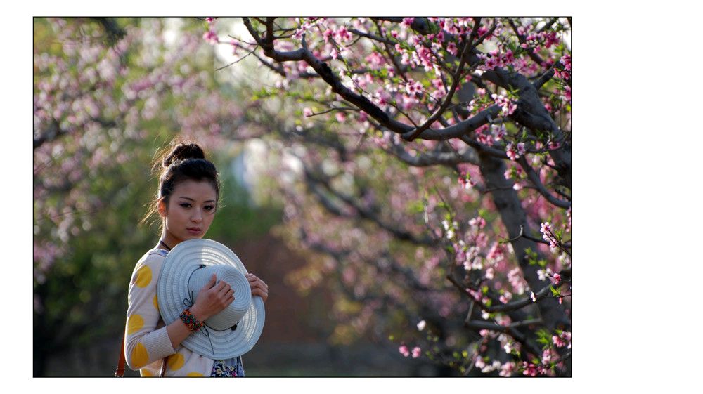 桃花/书乐(图3)