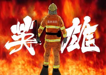 【都市头条】分享胡清普《赞救火英雄》请欣赏（图5）