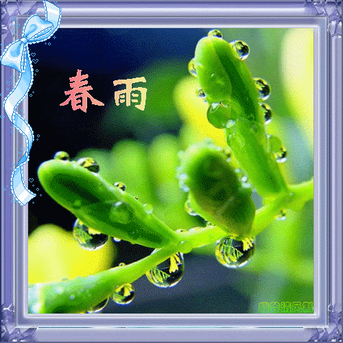 【枫雅汇看图约诗】诗人陈江《217期》（格律诗词八首）（图8）