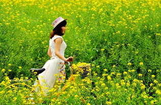 春龙节抒怀（外二首）/李亚华（图4）