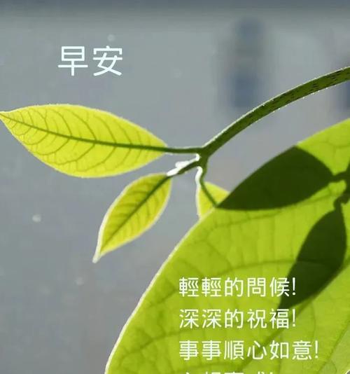 朱江萍老师唯美早安问候语