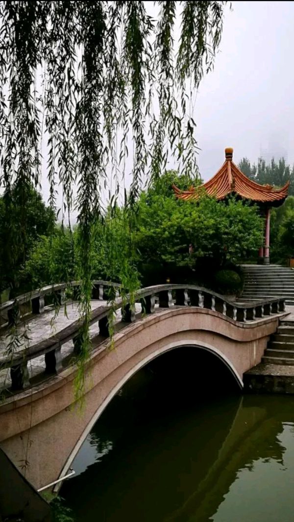 《七律 灞柳林》诗人：柳鸣（图3）