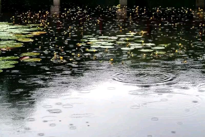 雨的味道/肖朋（图2）