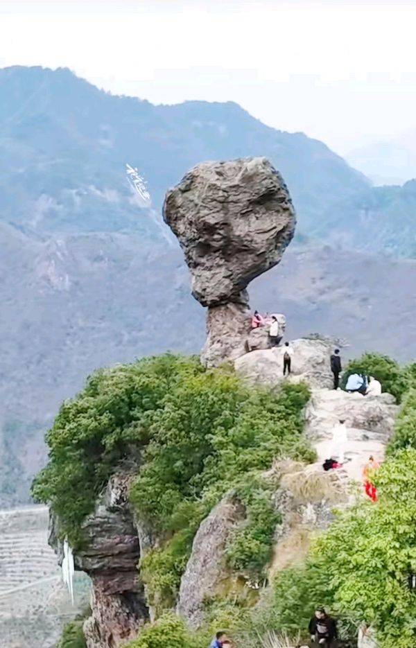 题诗友泰山娃《夫妻树》照 外五首／作者优秀诗人白真明老师请欣赏（图8）