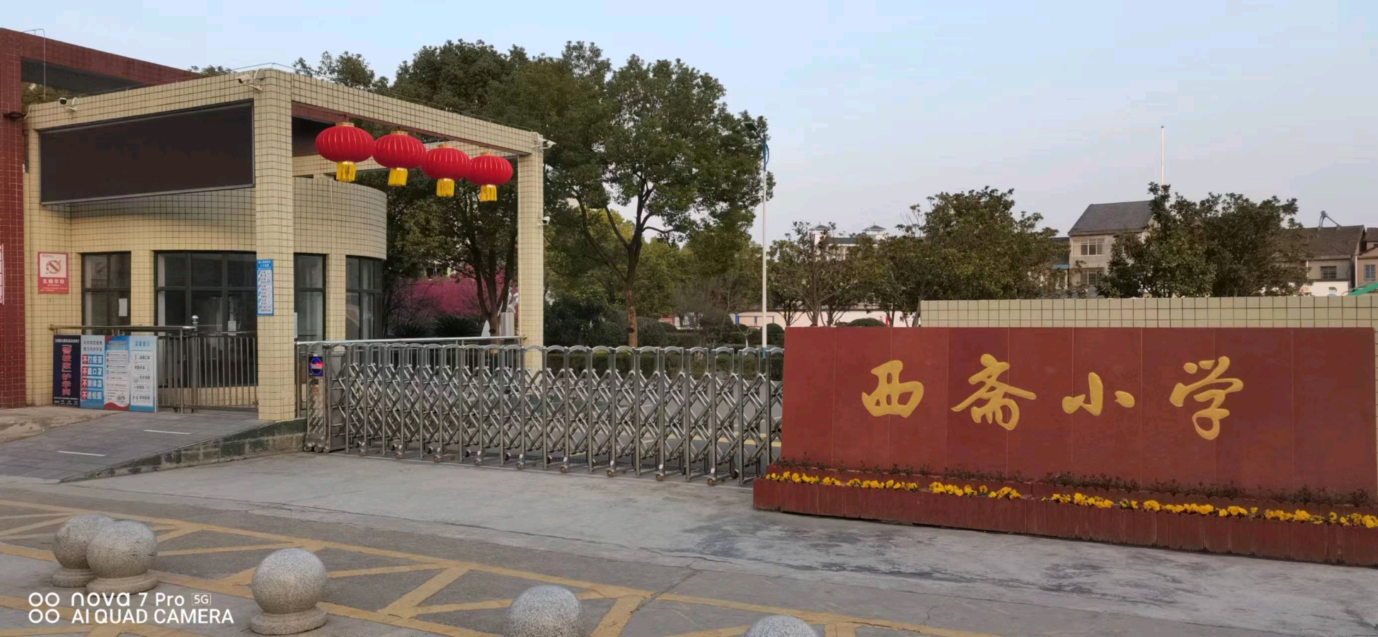 【校园香樟树】作者／胡清普老诗请欣赏（图4）