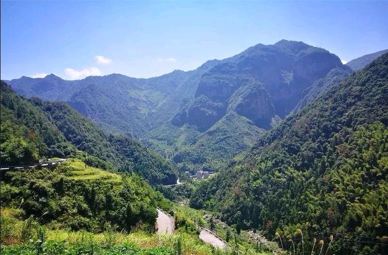 金菊对芙蓉 山行（外一首）/田兴才（图2）