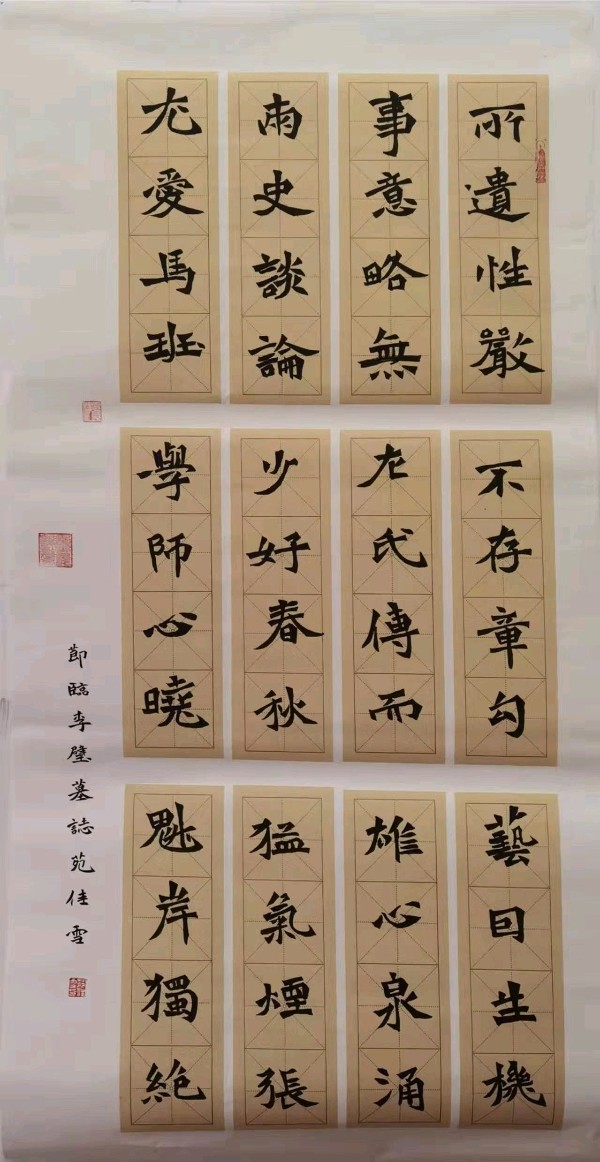 名师精心培育桃李争奇斗艳少年辛勤耕耘荣获全国大奖沧州市第十四中学学生苑佳雪书法作品欣赏(图7)