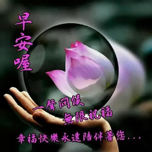 朱江萍老师唯美早安语（图2）
