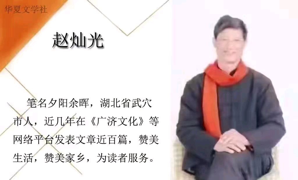 致敬白衣天使（外一首）/赵灿光（图8）