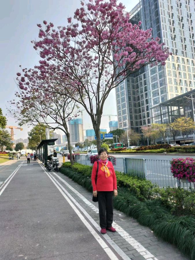 【炮仗花外两首】作者/优秀诗人杨杰峰老师请欣赏(图8)