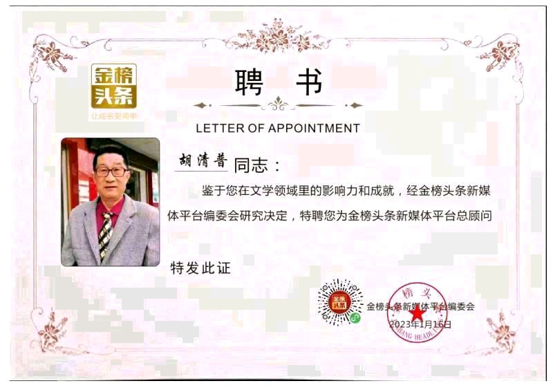 【赞促统英雄洪秀柱】作者／胡清普请欣赏（图8）