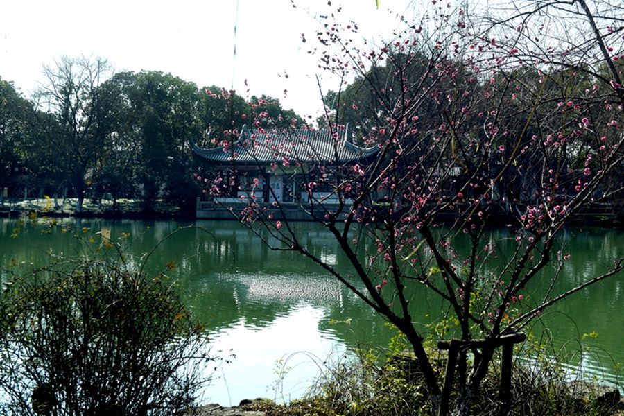 癸卯二月初一（外五首）/杨忠昌 诵读/春风十里（图9）