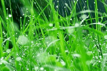 【神都诗社】第047期《春雨》（图12）