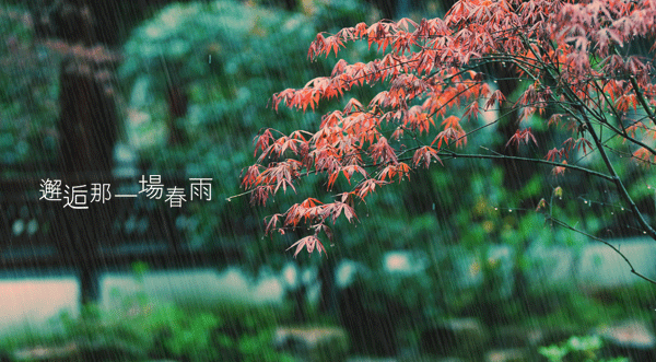 【神都诗社】第047期《春雨》（图21）
