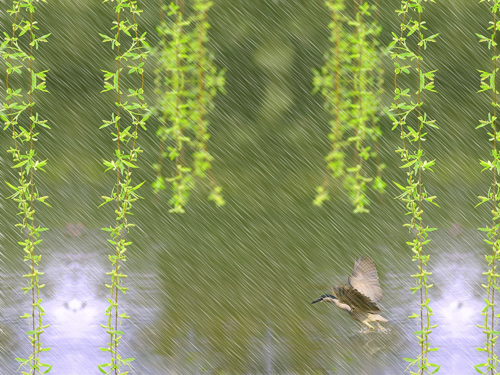 【神都诗社】第047期《春雨》（图19）