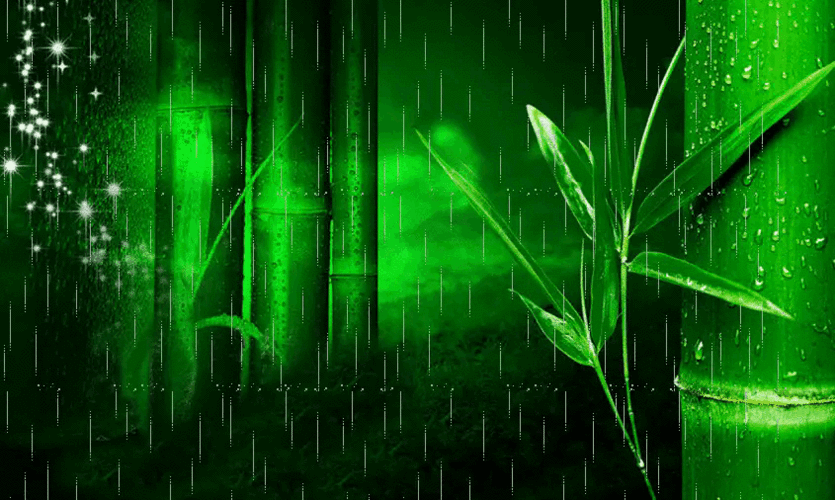 【神都诗社】第047期《春雨》（图24）